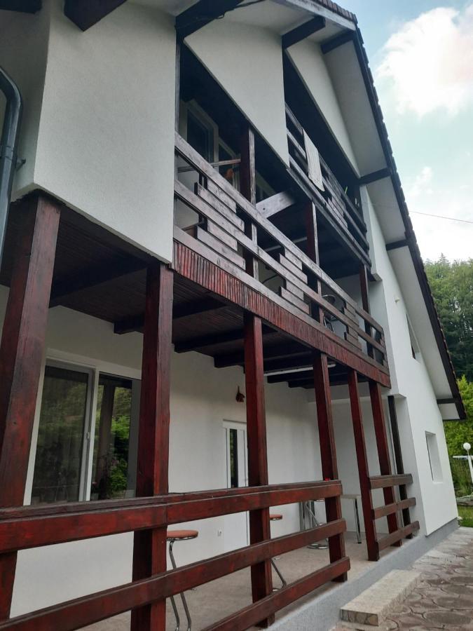 Ferienwohnung Casa Maia Cîrţişoara Exterior foto