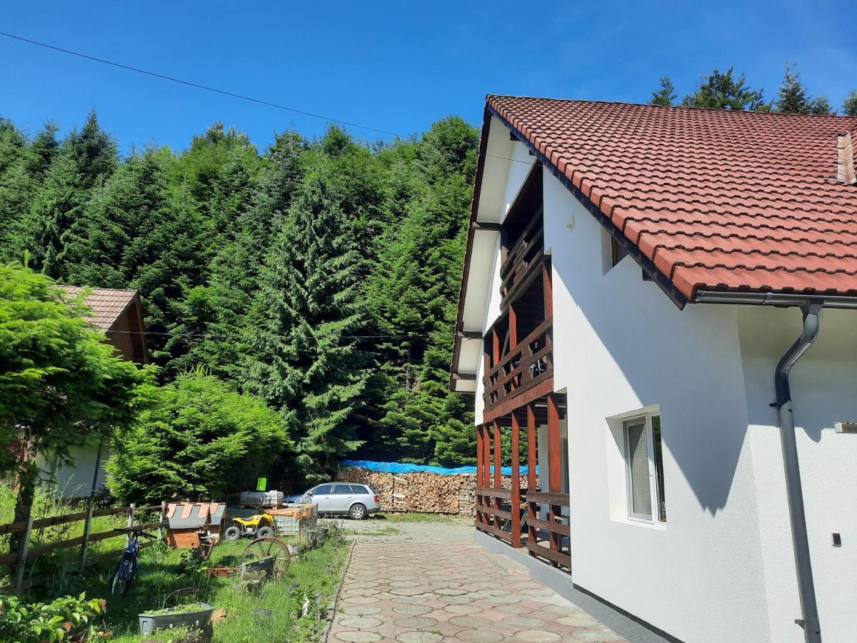 Ferienwohnung Casa Maia Cîrţişoara Exterior foto